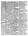 East London Observer Saturday 05 June 1875 Page 3