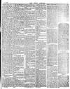 East London Observer Saturday 19 June 1875 Page 7