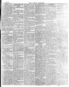East London Observer Saturday 03 July 1875 Page 7