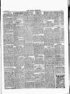East London Observer Saturday 18 July 1885 Page 3