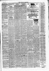 East London Observer Saturday 26 November 1887 Page 3