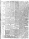 South London Chronicle Saturday 22 April 1865 Page 3