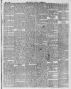 South London Chronicle Saturday 17 February 1866 Page 5