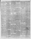 South London Chronicle Saturday 12 May 1866 Page 3