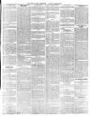 South London Chronicle Saturday 20 February 1875 Page 5
