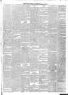 South London Chronicle Saturday 09 September 1876 Page 3