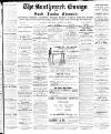 South London Chronicle Saturday 10 August 1878 Page 1