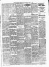 South London Chronicle Saturday 07 April 1888 Page 5