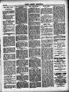 South London Chronicle Saturday 01 July 1899 Page 3