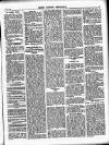 South London Chronicle Saturday 29 July 1899 Page 5