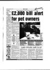 Aberdeen Evening Express Saturday 24 December 1994 Page 37