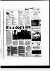 Aberdeen Evening Express Tuesday 31 January 1995 Page 27
