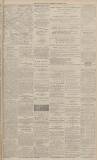 Dundee Evening Telegraph Wednesday 11 December 1878 Page 3