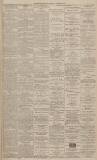Dundee Evening Telegraph Thursday 26 December 1878 Page 3