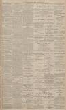 Dundee Evening Telegraph Monday 30 December 1878 Page 3
