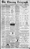 Dundee Evening Telegraph Saturday 01 February 1879 Page 1