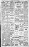 Dundee Evening Telegraph Saturday 01 February 1879 Page 3