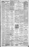 Dundee Evening Telegraph Saturday 01 February 1879 Page 4