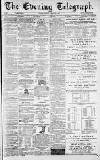 Dundee Evening Telegraph Saturday 08 February 1879 Page 1