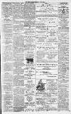 Dundee Evening Telegraph Friday 18 April 1879 Page 3