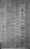 Dundee Evening Telegraph Saturday 10 January 1880 Page 3