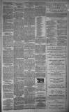 Dundee Evening Telegraph Thursday 15 January 1880 Page 3