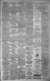 Dundee Evening Telegraph Saturday 31 January 1880 Page 3
