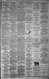 Dundee Evening Telegraph Thursday 05 February 1880 Page 3