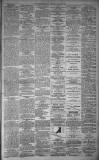 Dundee Evening Telegraph Saturday 07 February 1880 Page 3