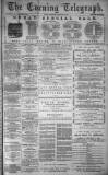 Dundee Evening Telegraph Wednesday 18 February 1880 Page 1