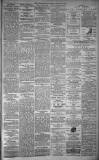 Dundee Evening Telegraph Saturday 21 February 1880 Page 3