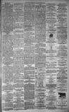 Dundee Evening Telegraph Thursday 04 March 1880 Page 3