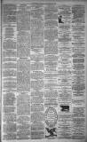 Dundee Evening Telegraph Friday 19 March 1880 Page 3