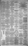 Dundee Evening Telegraph Friday 02 April 1880 Page 3