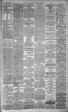 Dundee Evening Telegraph Saturday 03 April 1880 Page 3