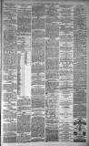 Dundee Evening Telegraph Monday 05 April 1880 Page 3