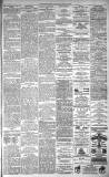 Dundee Evening Telegraph Friday 20 August 1880 Page 3