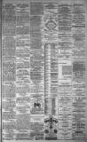 Dundee Evening Telegraph Saturday 16 October 1880 Page 3