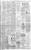 Dundee Evening Telegraph Saturday 08 April 1882 Page 3