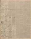 Dundee Evening Telegraph Saturday 30 December 1899 Page 3