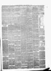 Perthshire Advertiser Friday 05 February 1875 Page 3