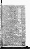 Perthshire Advertiser Wednesday 29 August 1900 Page 7