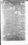 Perthshire Advertiser Saturday 25 January 1913 Page 5