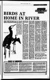 Perthshire Advertiser Tuesday 01 November 1988 Page 27