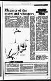Perthshire Advertiser Tuesday 08 November 1988 Page 31
