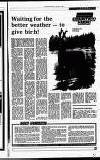 Perthshire Advertiser Tuesday 17 January 1989 Page 27