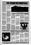 Perthshire Advertiser Wednesday 03 January 1990 Page 7