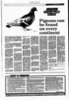 Perthshire Advertiser Wednesday 03 January 1990 Page 27