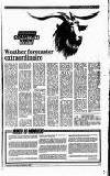 Perthshire Advertiser Tuesday 06 November 1990 Page 23