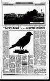 Perthshire Advertiser Tuesday 02 November 1993 Page 23